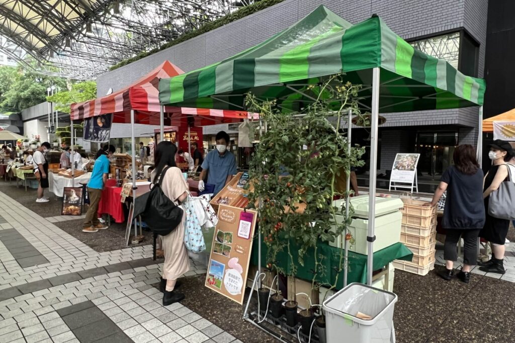 ミニトマト専門店・青果圃マルシェ出店